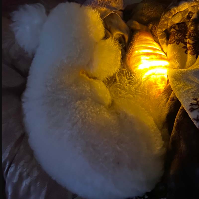 Cute Croissant LED Night Light – Fun & Cozy Bread Glow