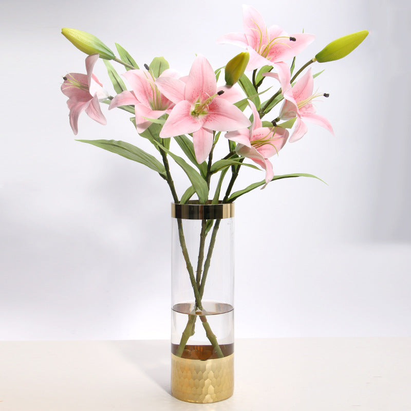 Sleek Transparent Glass Vase – Modern Hydroponic Flower Holder & Home Decor Accent